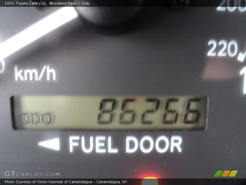 Woodland Pearl / Gray 2001 Toyota Camry LE