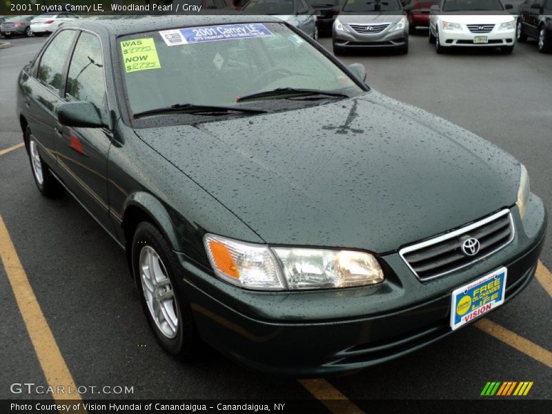 Woodland Pearl / Gray 2001 Toyota Camry LE