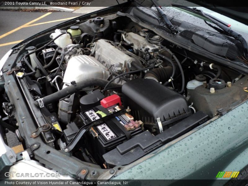 Woodland Pearl / Gray 2001 Toyota Camry LE