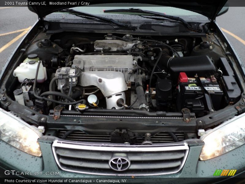 Woodland Pearl / Gray 2001 Toyota Camry LE