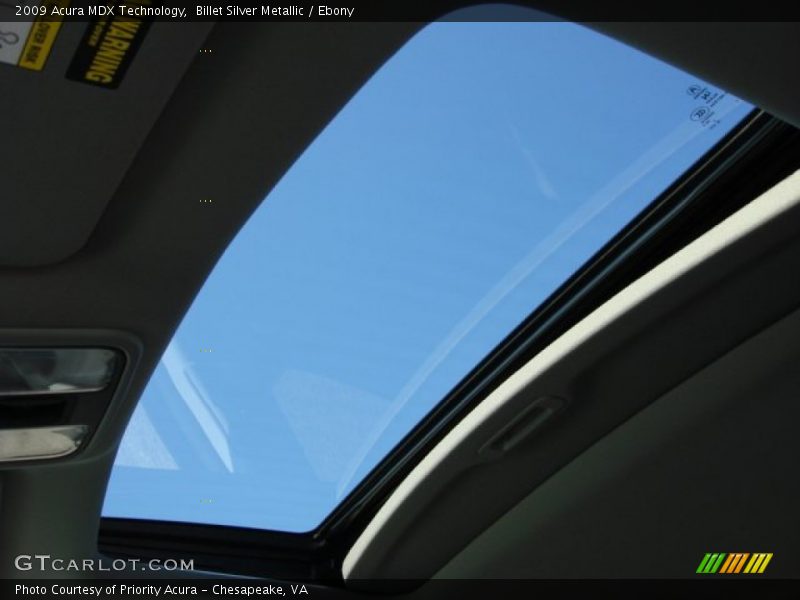 Billet Silver Metallic / Ebony 2009 Acura MDX Technology