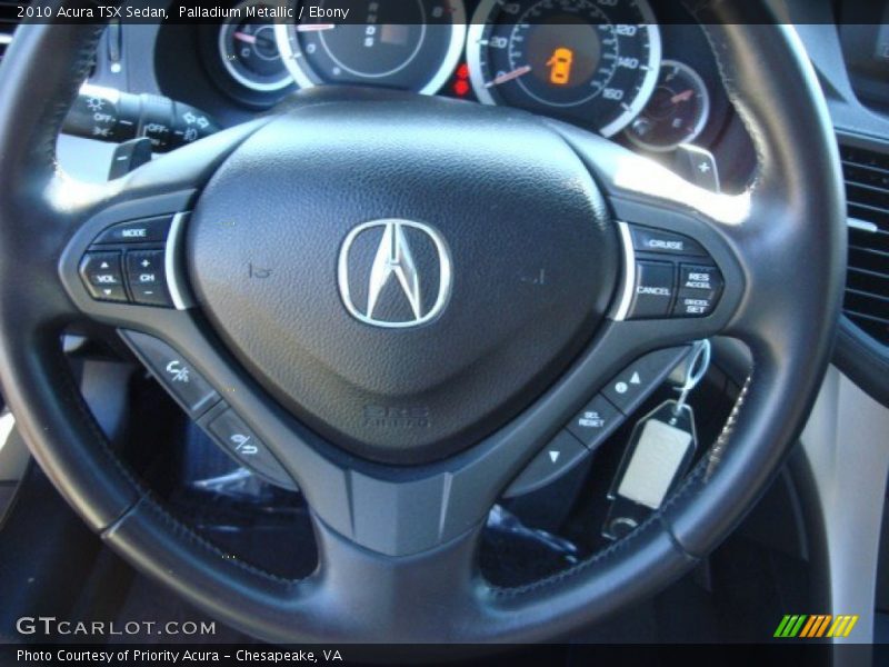 Palladium Metallic / Ebony 2010 Acura TSX Sedan