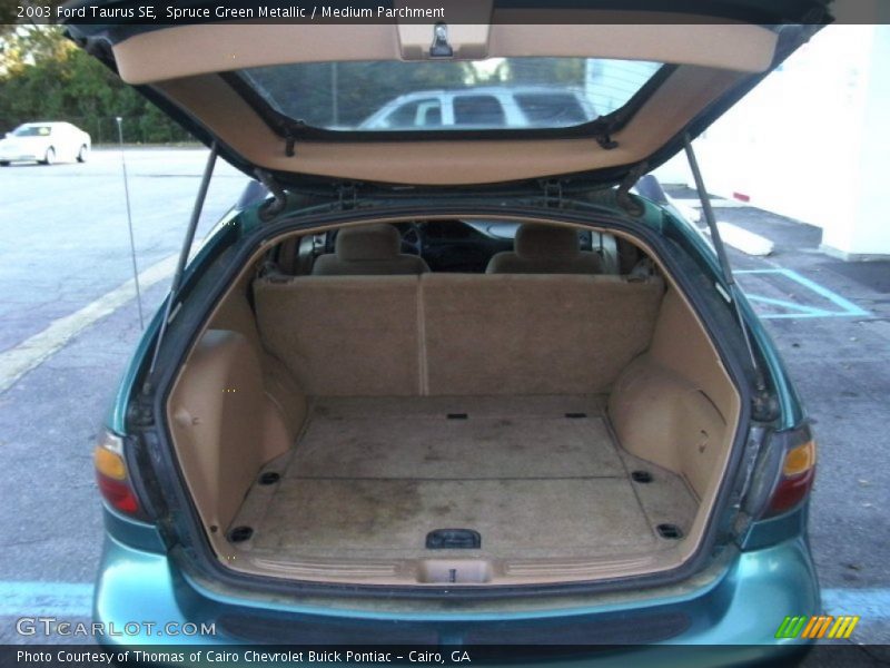 Spruce Green Metallic / Medium Parchment 2003 Ford Taurus SE