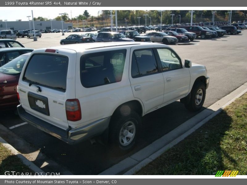 Natural White / Gray 1999 Toyota 4Runner SR5 4x4