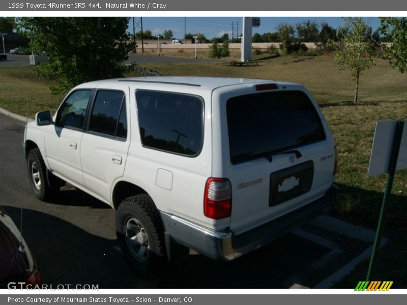 Natural White / Gray 1999 Toyota 4Runner SR5 4x4