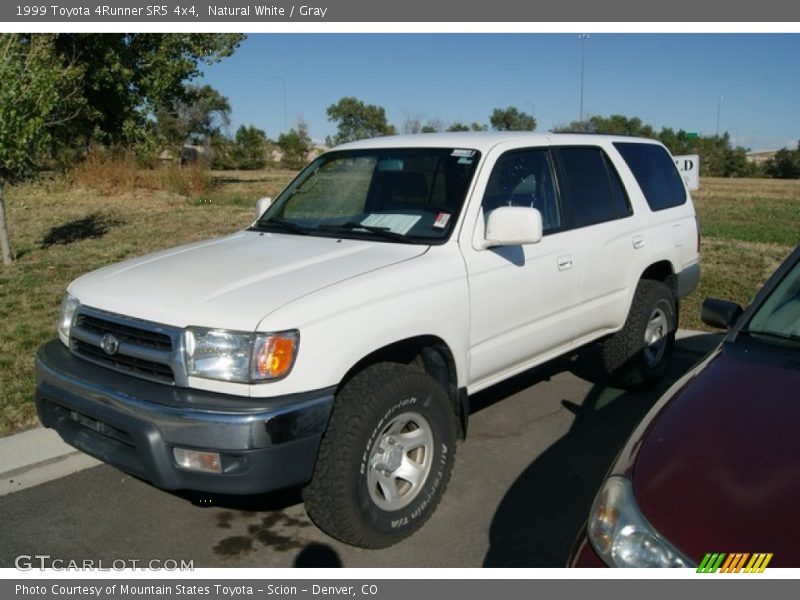 Natural White / Gray 1999 Toyota 4Runner SR5 4x4