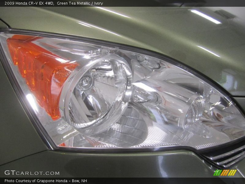 Green Tea Metallic / Ivory 2009 Honda CR-V EX 4WD