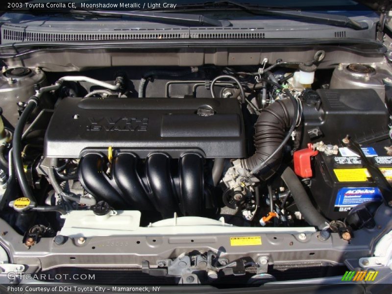 Moonshadow Metallic / Light Gray 2003 Toyota Corolla CE
