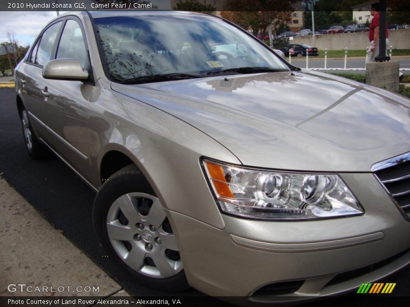 Camel Pearl / Camel 2010 Hyundai Sonata GLS