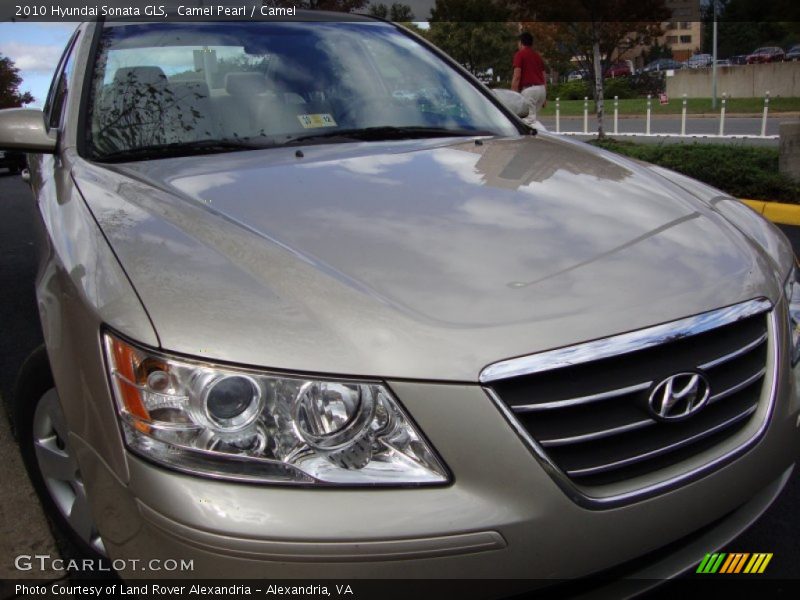 Camel Pearl / Camel 2010 Hyundai Sonata GLS