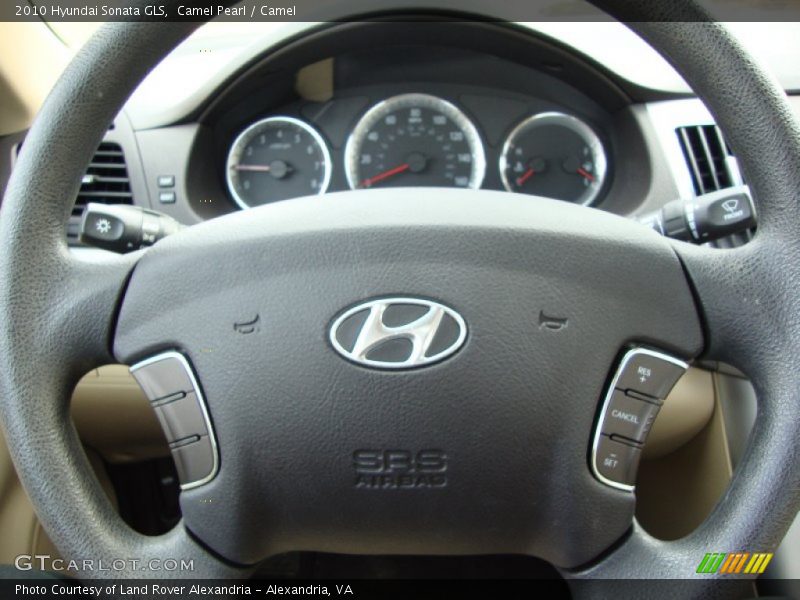 Camel Pearl / Camel 2010 Hyundai Sonata GLS