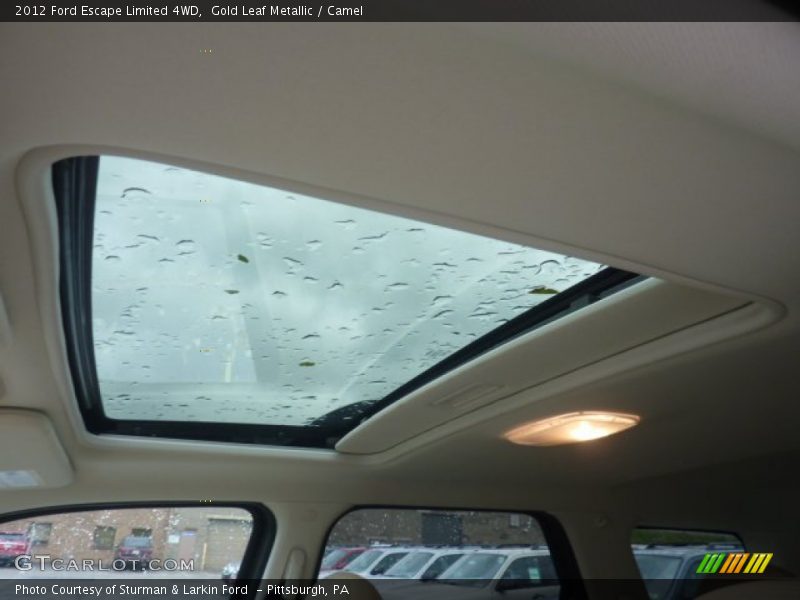 Gold Leaf Metallic / Camel 2012 Ford Escape Limited 4WD