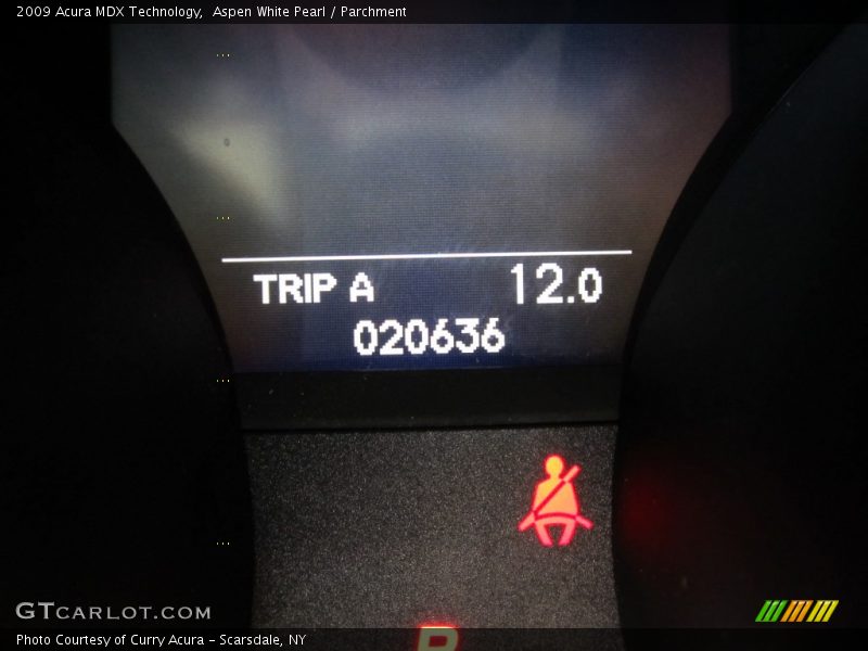 Aspen White Pearl / Parchment 2009 Acura MDX Technology