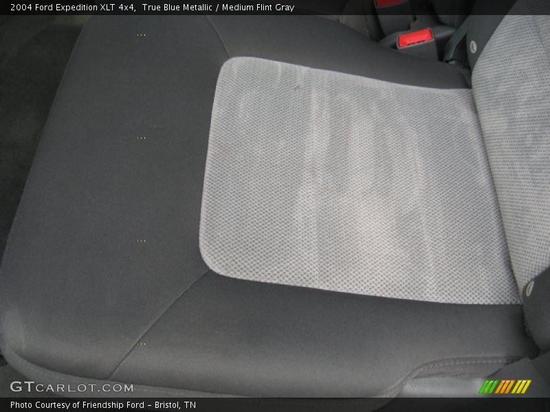 True Blue Metallic / Medium Flint Gray 2004 Ford Expedition XLT 4x4