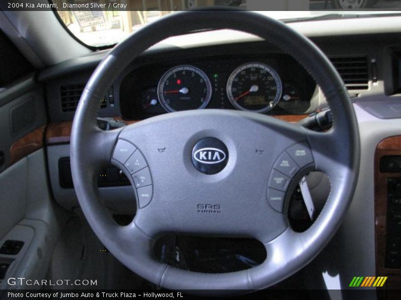 Diamond Silver / Gray 2004 Kia Amanti