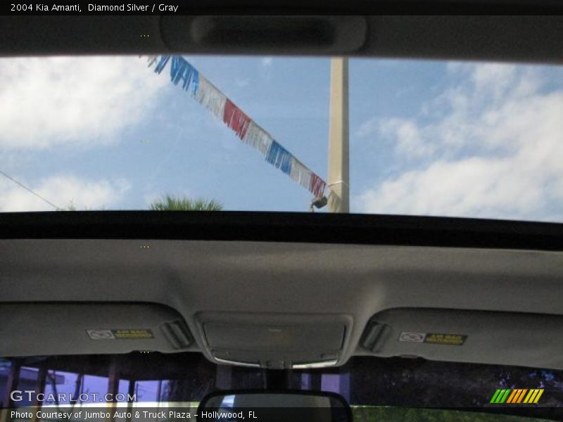 Diamond Silver / Gray 2004 Kia Amanti