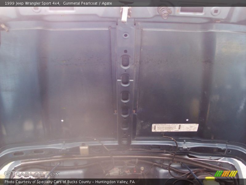 Gunmetal Pearlcoat / Agate 1999 Jeep Wrangler Sport 4x4