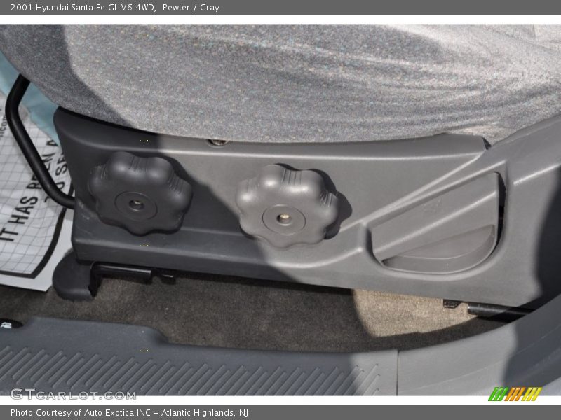 Pewter / Gray 2001 Hyundai Santa Fe GL V6 4WD