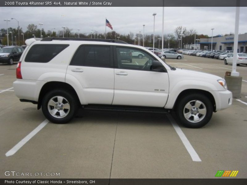 Natural White / Stone Gray 2008 Toyota 4Runner SR5 4x4
