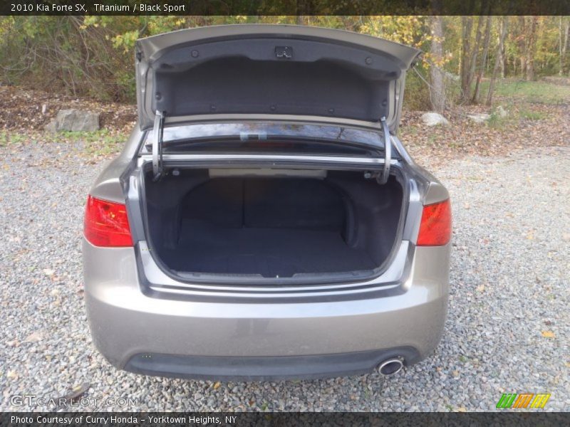 Titanium / Black Sport 2010 Kia Forte SX