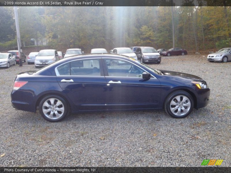 Royal Blue Pearl / Gray 2009 Honda Accord EX V6 Sedan