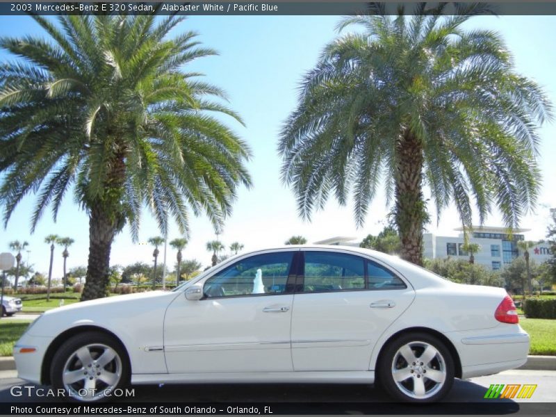 Alabaster White / Pacific Blue 2003 Mercedes-Benz E 320 Sedan