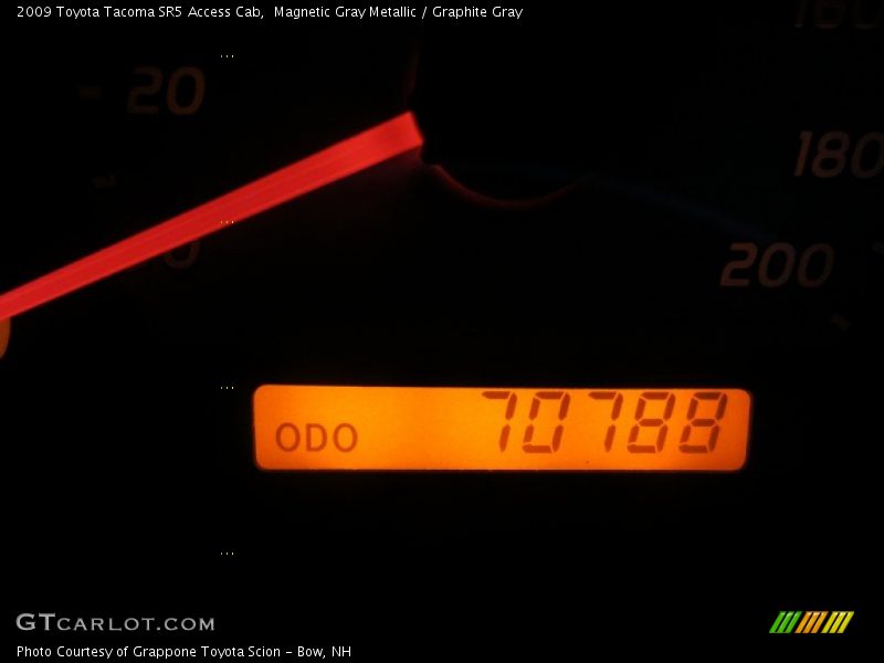 Magnetic Gray Metallic / Graphite Gray 2009 Toyota Tacoma SR5 Access Cab