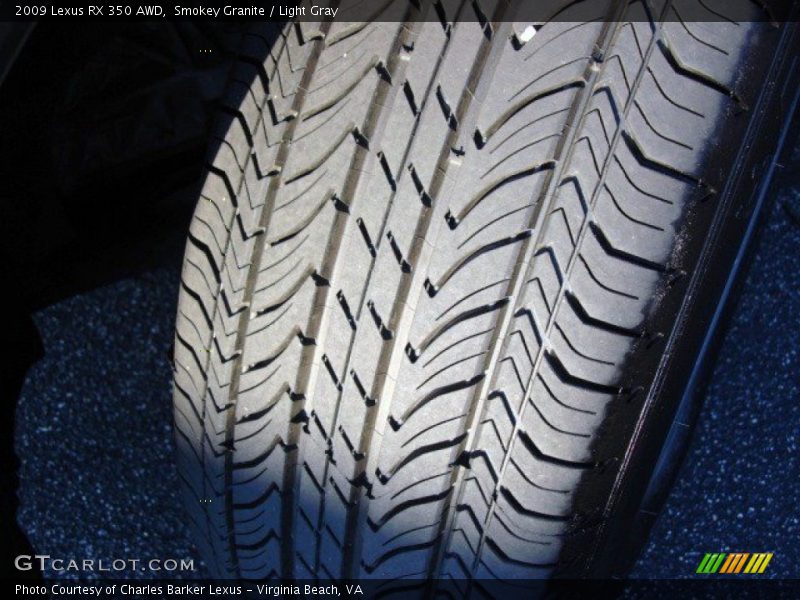 Smokey Granite / Light Gray 2009 Lexus RX 350 AWD