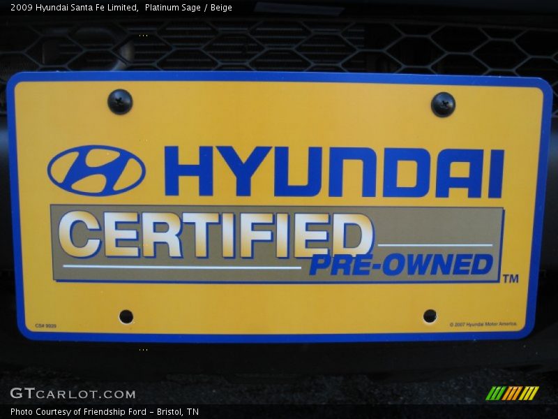 Platinum Sage / Beige 2009 Hyundai Santa Fe Limited
