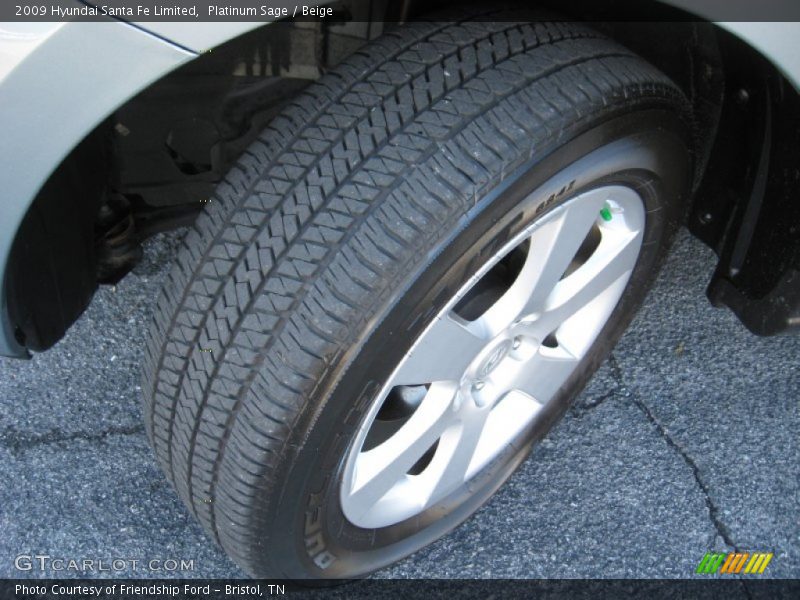 Platinum Sage / Beige 2009 Hyundai Santa Fe Limited