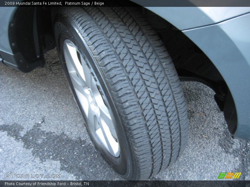 Platinum Sage / Beige 2009 Hyundai Santa Fe Limited