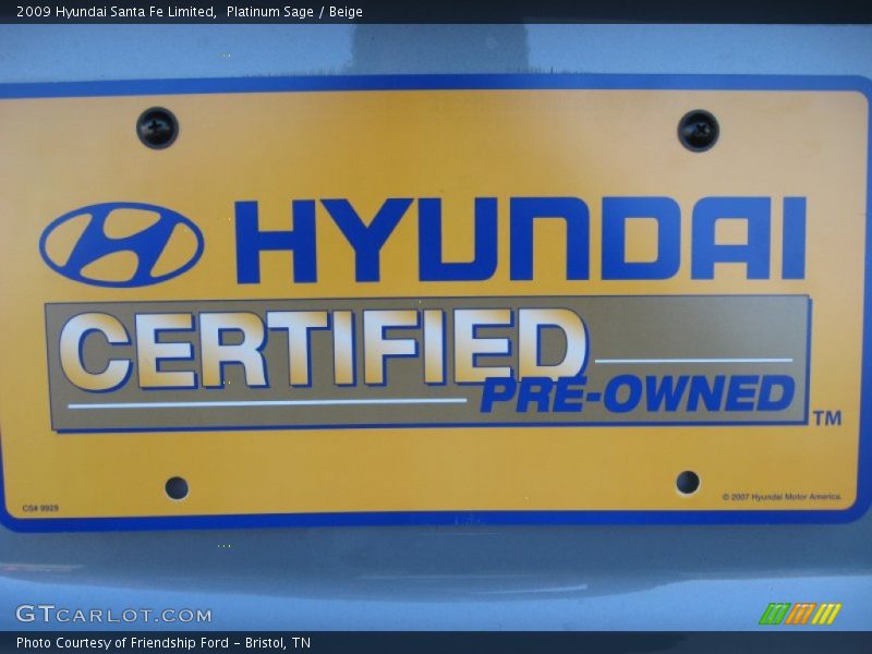 Platinum Sage / Beige 2009 Hyundai Santa Fe Limited