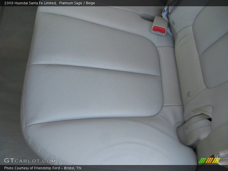 Platinum Sage / Beige 2009 Hyundai Santa Fe Limited