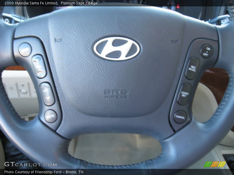 Platinum Sage / Beige 2009 Hyundai Santa Fe Limited