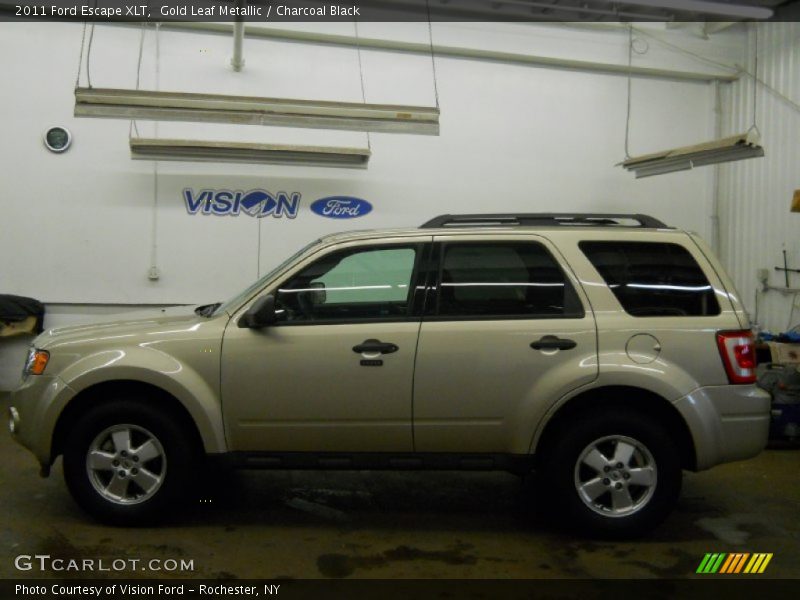 Gold Leaf Metallic / Charcoal Black 2011 Ford Escape XLT