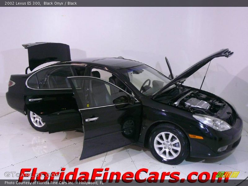 Black Onyx / Black 2002 Lexus ES 300