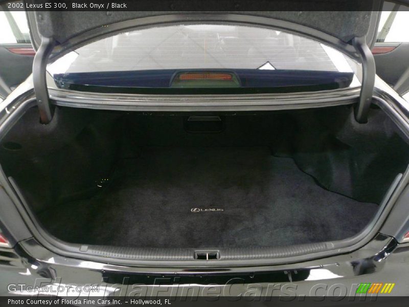Black Onyx / Black 2002 Lexus ES 300