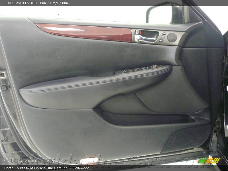 Black Onyx / Black 2002 Lexus ES 300