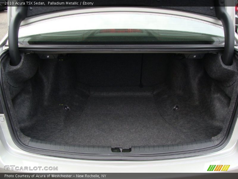 Palladium Metallic / Ebony 2010 Acura TSX Sedan