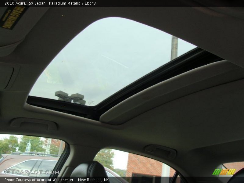 Palladium Metallic / Ebony 2010 Acura TSX Sedan