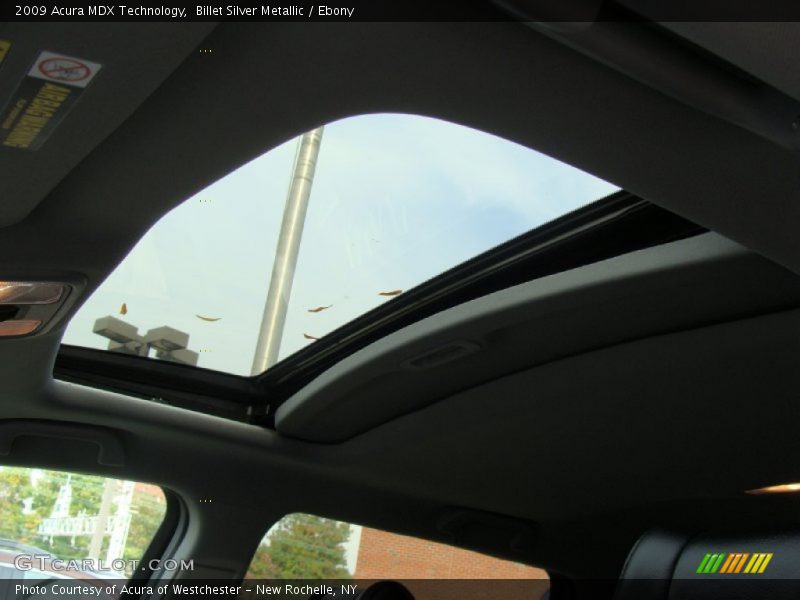 Billet Silver Metallic / Ebony 2009 Acura MDX Technology