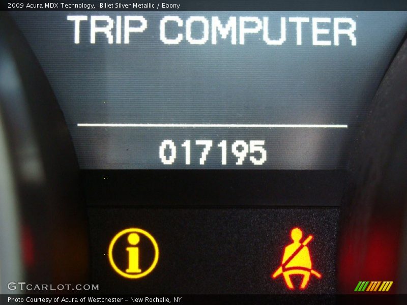 Billet Silver Metallic / Ebony 2009 Acura MDX Technology