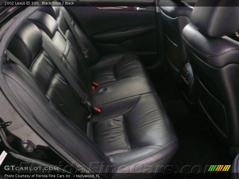 Black Onyx / Black 2002 Lexus ES 300