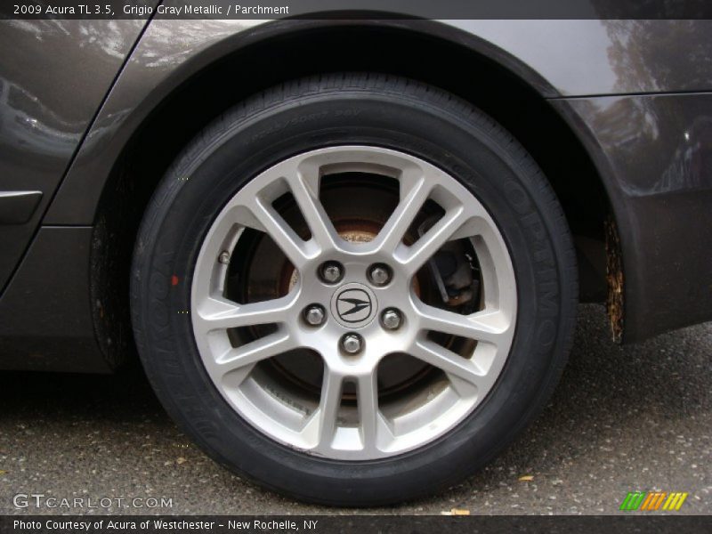 Grigio Gray Metallic / Parchment 2009 Acura TL 3.5
