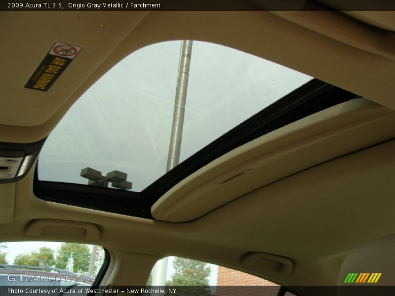 Grigio Gray Metallic / Parchment 2009 Acura TL 3.5