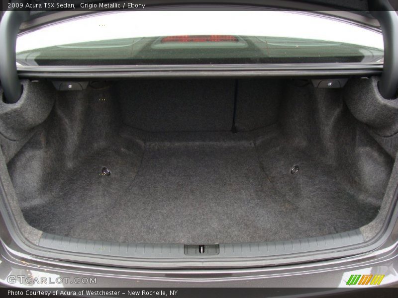 Grigio Metallic / Ebony 2009 Acura TSX Sedan