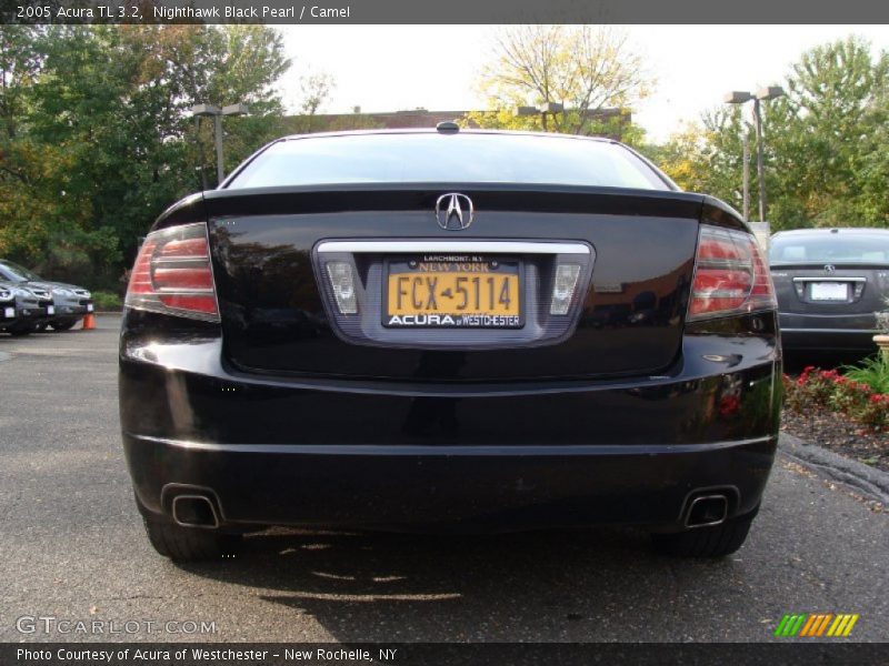 Nighthawk Black Pearl / Camel 2005 Acura TL 3.2