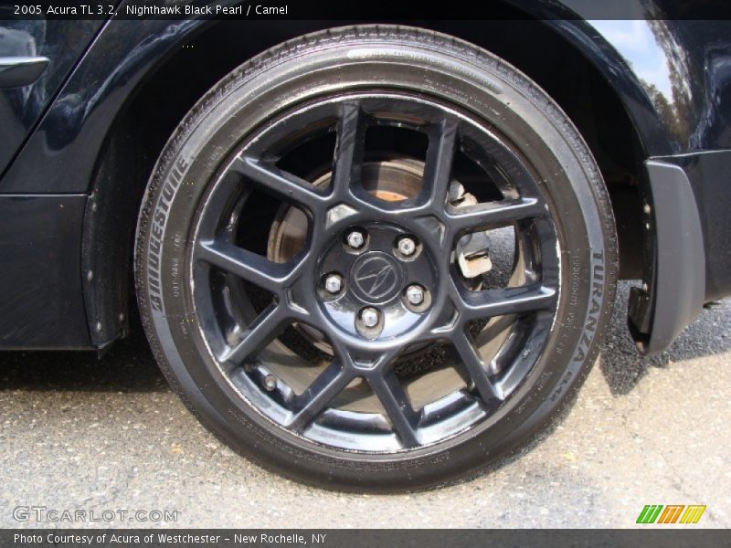 Nighthawk Black Pearl / Camel 2005 Acura TL 3.2