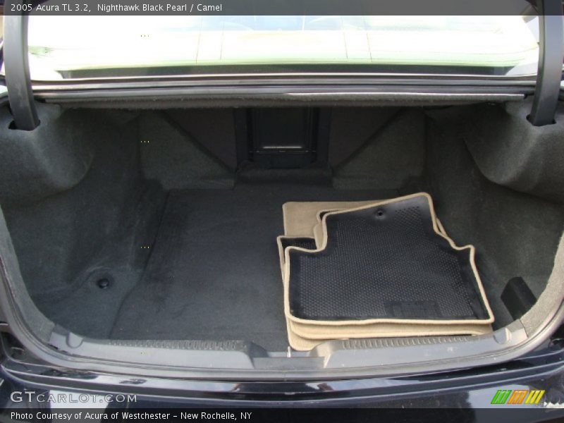 Nighthawk Black Pearl / Camel 2005 Acura TL 3.2