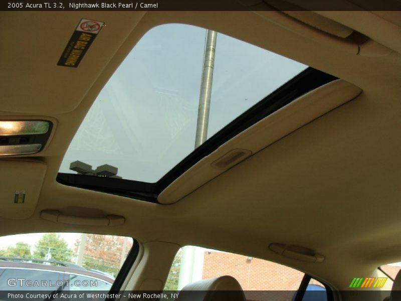 Nighthawk Black Pearl / Camel 2005 Acura TL 3.2
